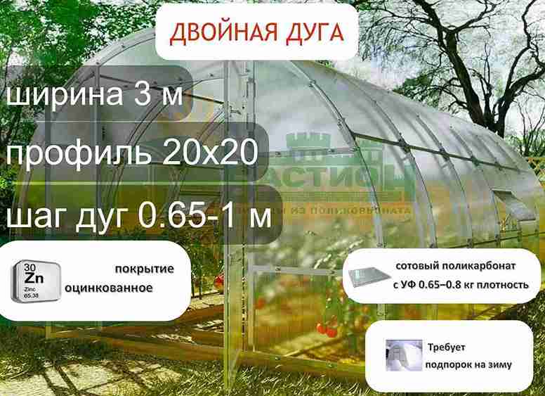 ТЕПЛИЦА БИНАРНАЯ