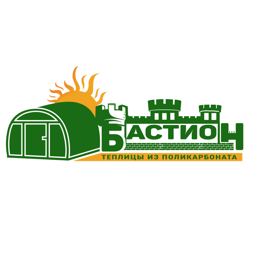 Лого БАСТИОН (1).png